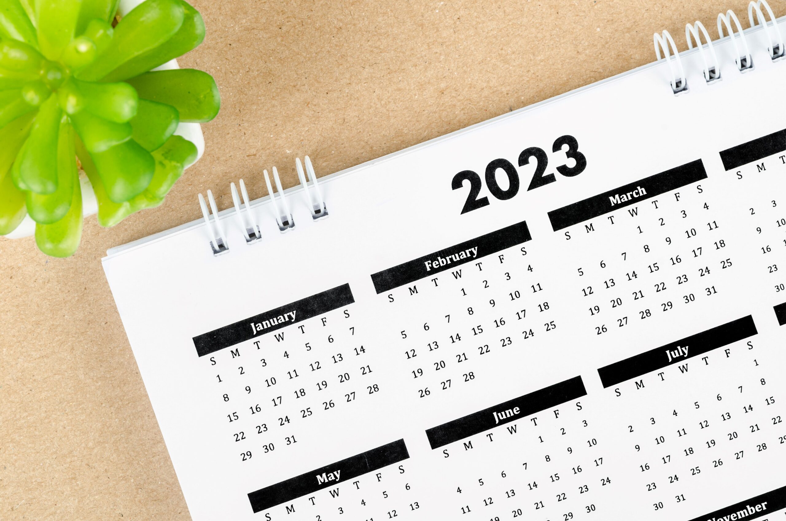 2023 Q2 Tax Deadlines for Businesses